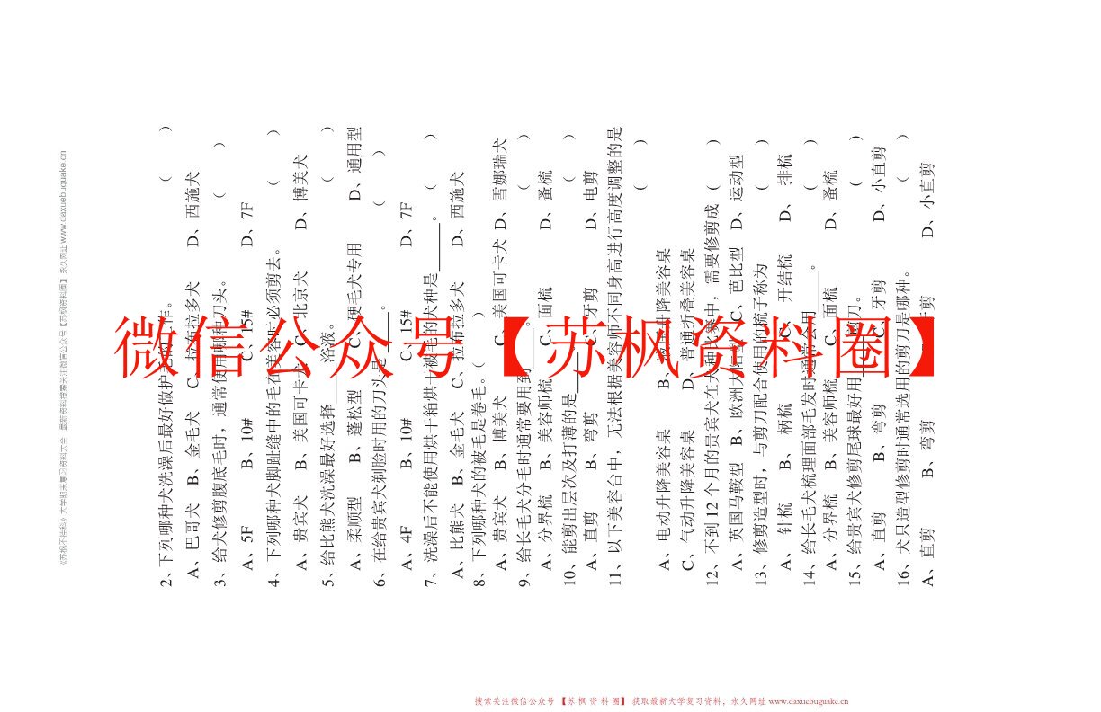 宠物美容
